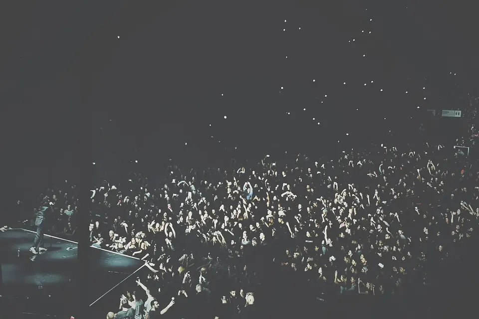Salle de concert pleine, public de dos face à une scène baignée de lumière
