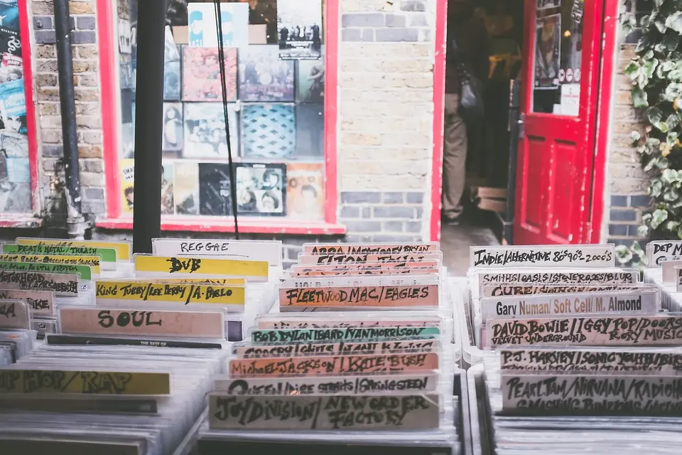 Pochettes de disques vinyles alignées sur un présentoir de disquaire